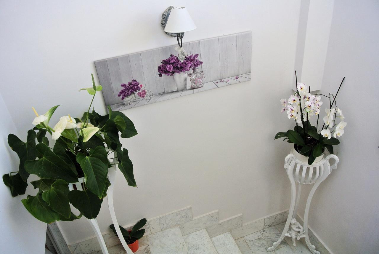 Bed and Breakfast Almasol Кассано-делле-Мурдже Экстерьер фото